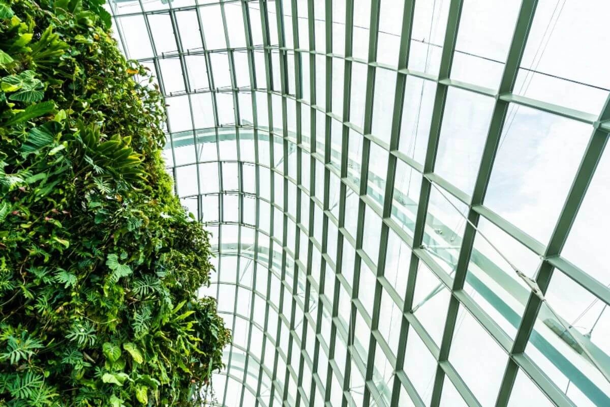 Green wall beside a glass and steel building frame showing sustainable construction design